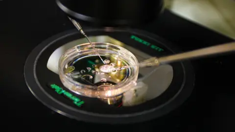 Revolutionary Breakthrough: Human Embryos Created from Skin DNA