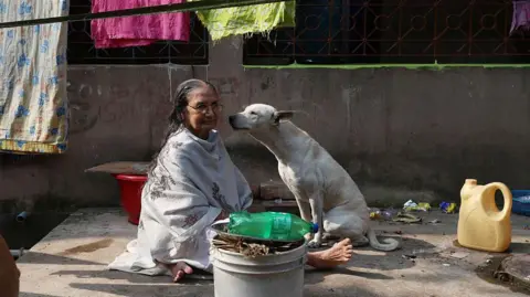 Telangana Investigates Mass Killing of Stray Dogs Amid Election Promises