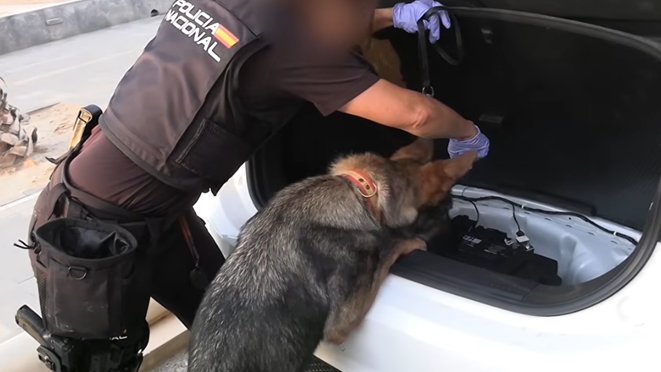 Spanish Police Arrest 78 in Major Smuggling Network Bust