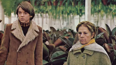 Tributes Pour in for Bud Cort, Star of 'Harold and Maude', Who Passed Away at 77