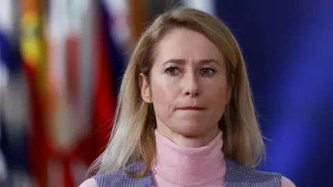 EU Diplomat Denies Russian Claims of Ukrainian Drone Attack