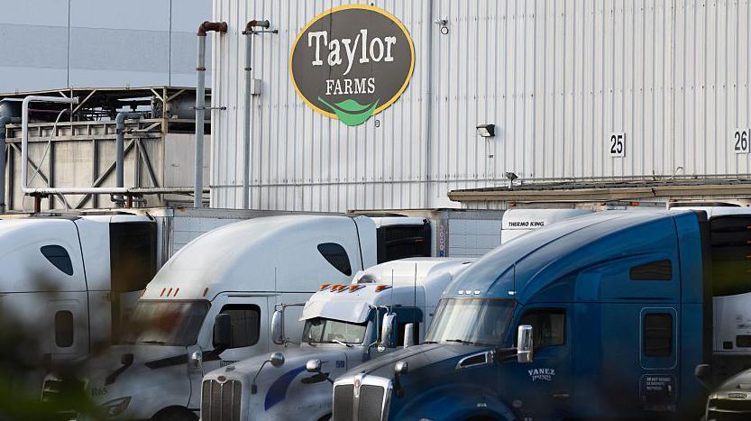 Taylor Farms lettuce sample tested false positive for Cyclospora, FDA says