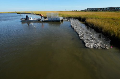 Indigenous Tribes Fight Coastal Erosion in Louisiana