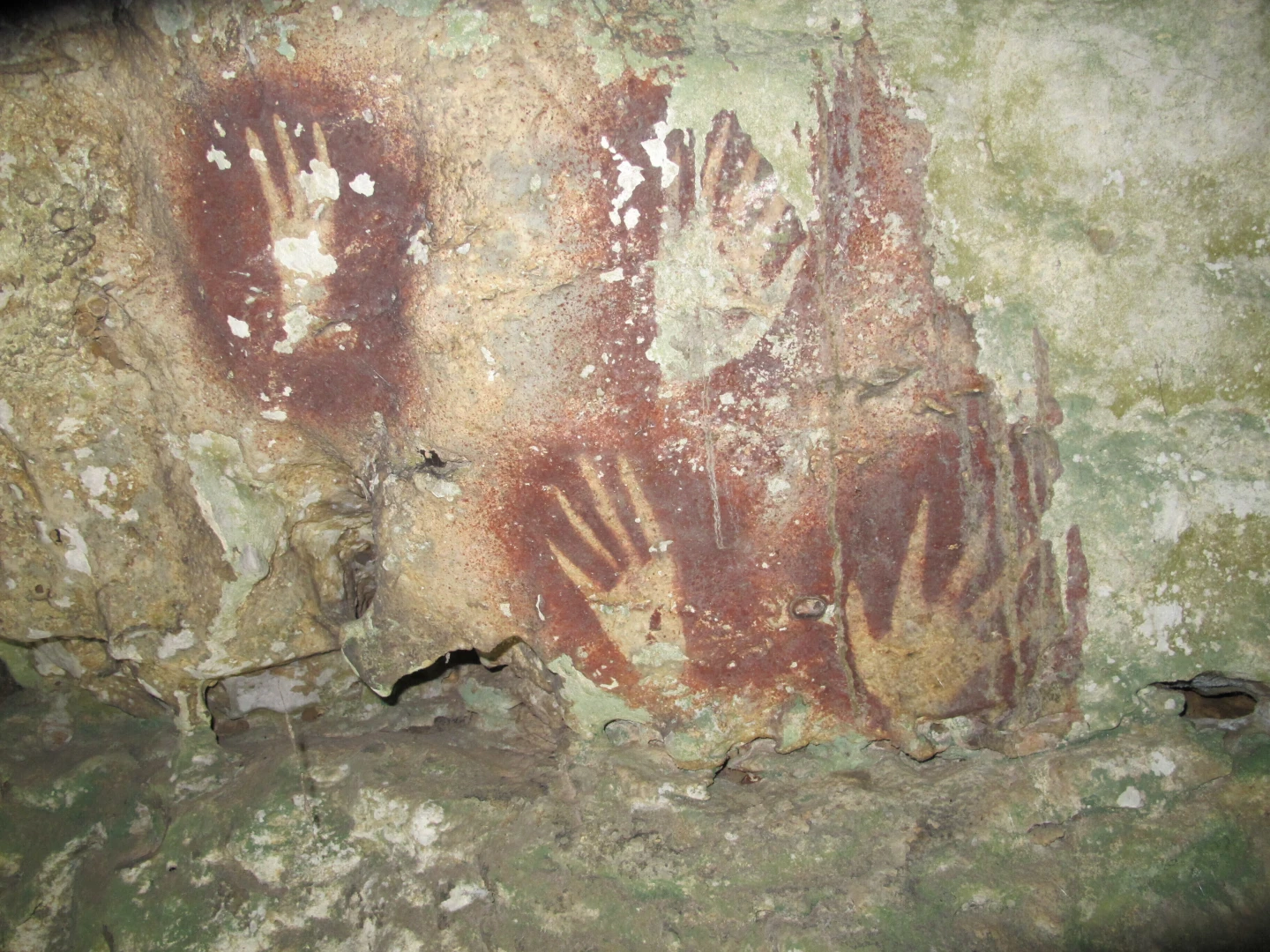 Ancient Handprints in Indonesian Cave May Be the Oldest Rock Art Discovered