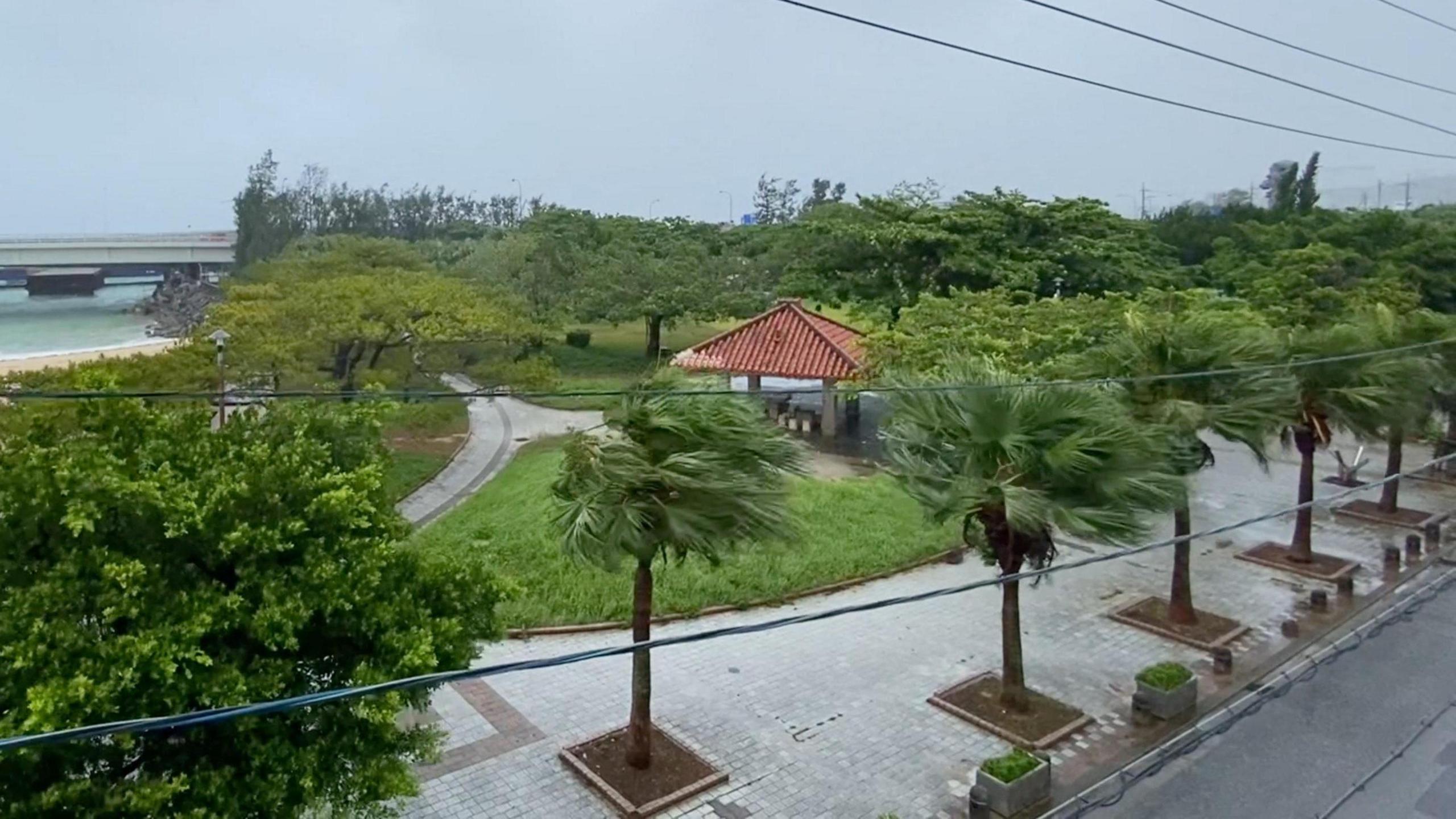 Typhoon Dolphin Hits Okinawa, Threatening China as Storm Moves Across Pacific