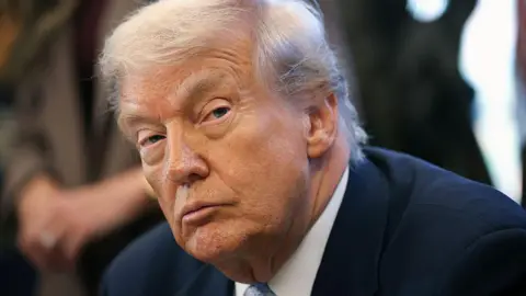 Trump Signs Bill Demanding Release of Epstein Files Amid Controversy