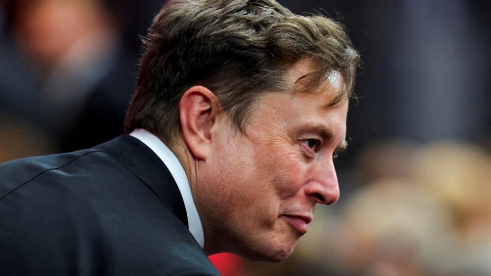 Elon Musk’s ‘Citizen Vigilante’: A View From Europe and the Far‑Right