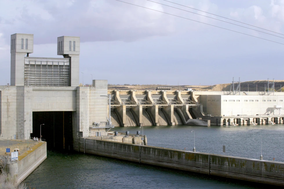 Legal Battle for Salmon Recovery: Oregon and Washington States Push for Dam Operation Changes
