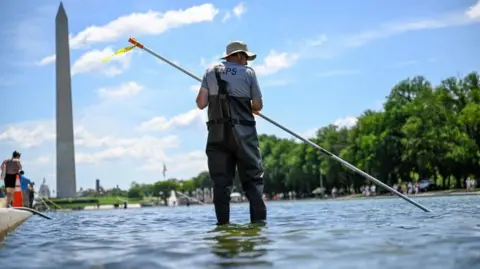 Trump Promises Immediate Repairs to Reflecting Pool After Algae Outbreak and Vandalism Claims