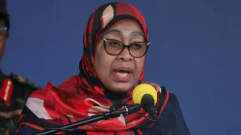 Tanzania's Image Imperiled Following Election Unrest, Says President