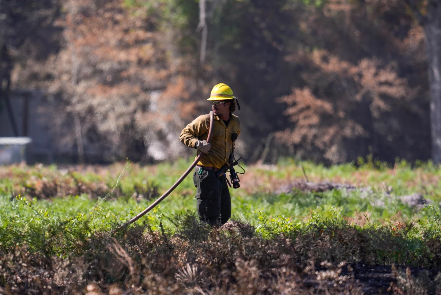 Escalating Wildfires in Southeast Georgia Prompt Urgent Evacuations