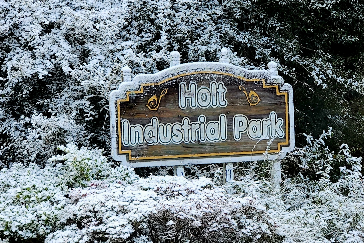 Unusual Winter Visitor: Florida Witnesses Snow for Second Consecutive Year