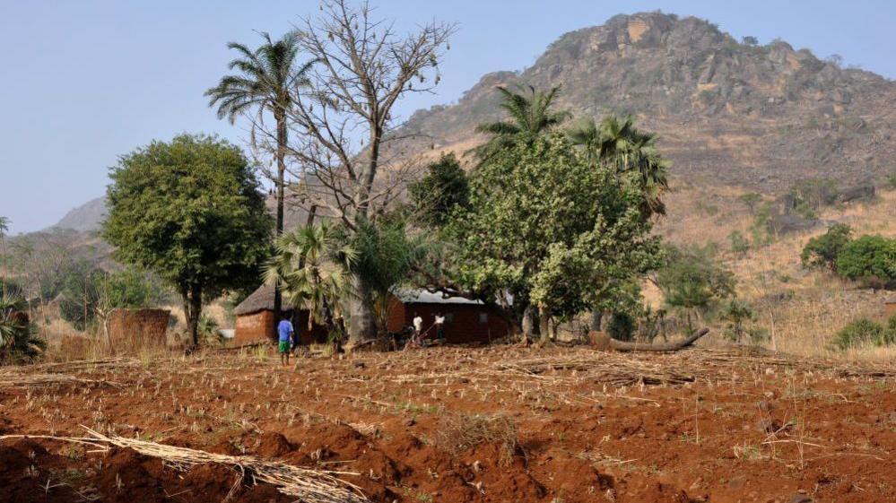 Togo Arrests Two French Journalists: RSF Calls for Release