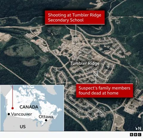 Tumbler Ridge Mass Shooting: Mental Health and Gun Control Questions Arise