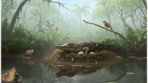 Ancient Tree-Climbing 'Drop Crocs' Eggshells Discovered in Australia