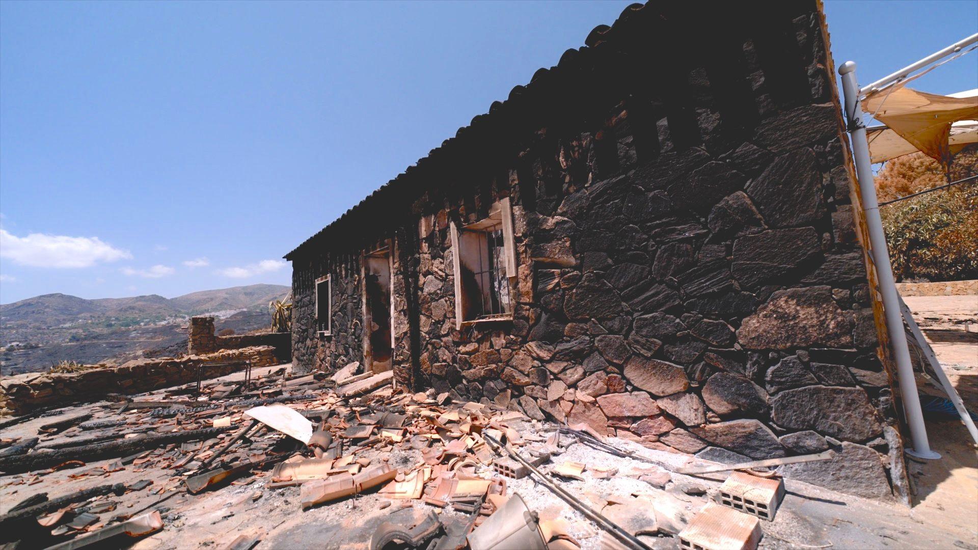 Brit on Wheels: Survivor of Spain Wildfire Returns to Charred Home for Pets
