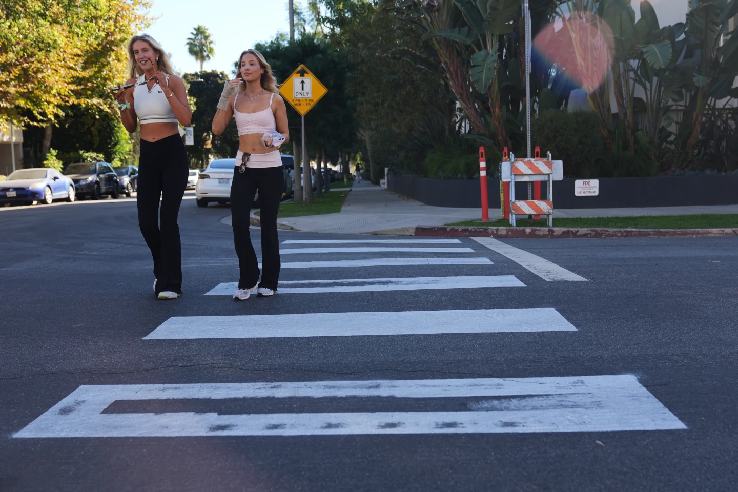 Activist Arrested in Los Angeles for Guerrilla Painting of Unsafe Crosswalks