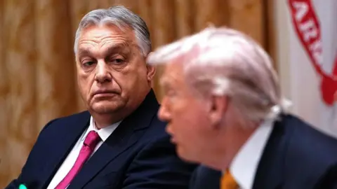Evaluating the Impact of Trump's Deal with Hungary's Orban: Gains and Shortcomings