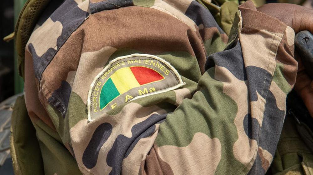 Mali Forces Claim Hundreds of JNIM Fighters Killed in Brief Base Assault