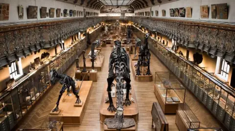 Alarming Heist: Woman Charged for Gold Theft from Paris Museum