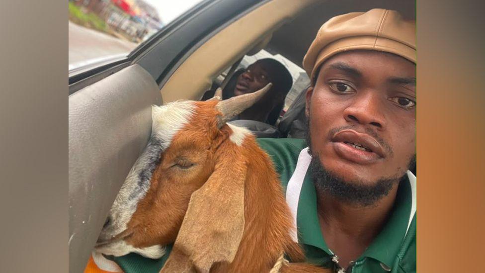 From Graduation to Fame: Nigeria Graduate’s Goat Turns Viral