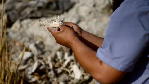 Families of the Missing Seek Justice in Post-Assad Syria